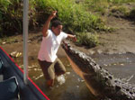 JUNGLE CROCODILE SAFARI TOUR in Jaco Beach Costa Rica