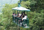 PACIFIC RAINFOREST AERIAL TRAM TOURS in Jaco Beach Costa Rica